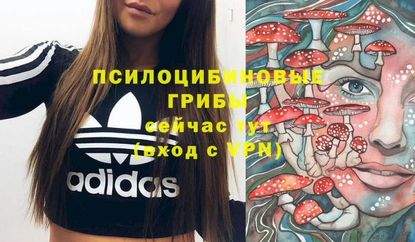 СК Балабаново