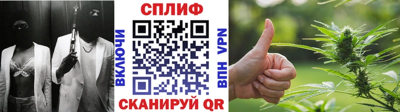 Бошки Шишки OG Kush дарк нет клад Туринск где купить наркоту
